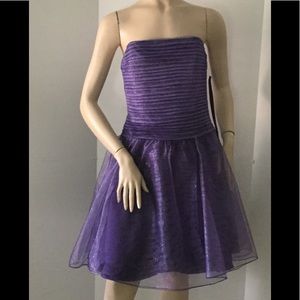 C.W. Designs Purple Party Tween /Junior Dress